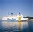 blueline_regina_della_pace_tb