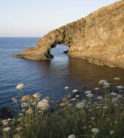 Wyspa Pantelleria